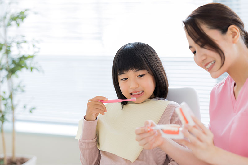 ブラッシング指導