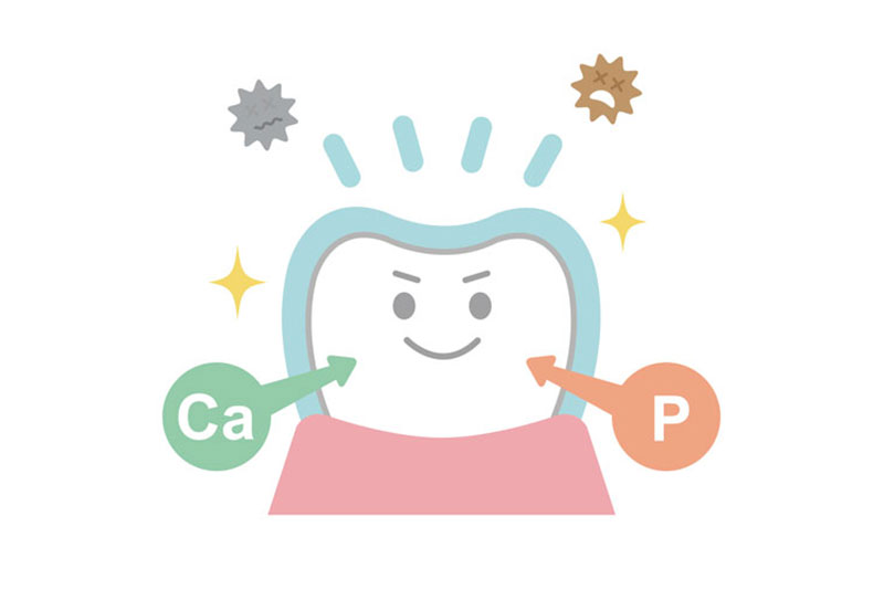 歯の予防に使われるフッ化物とは