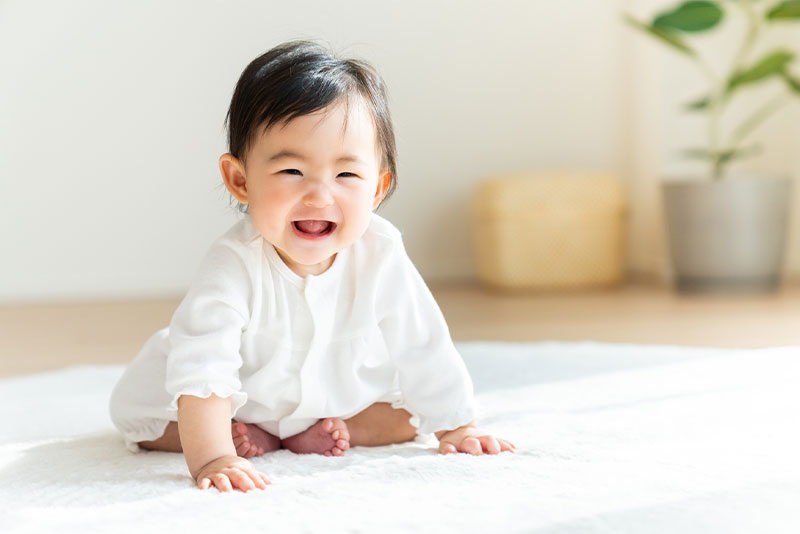 感染の窓：特に1歳半～2歳半が最もむし歯になりやすい